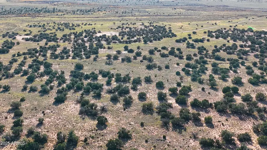 TBD County Rd N5504 --, Concho, AZ 85924 - Image #3