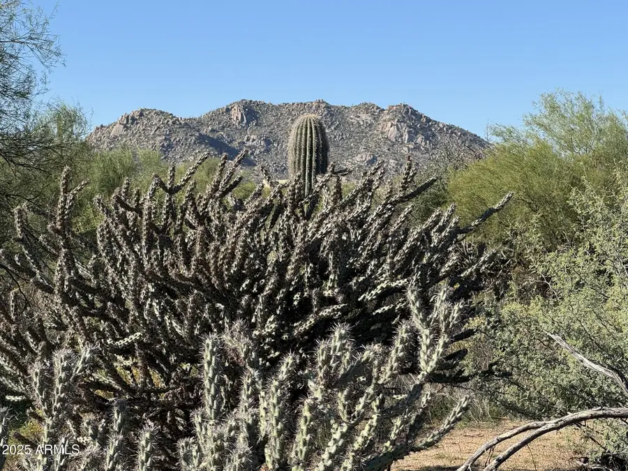 142XX E Tumbleweed Drive, Tonto National Forest, AZ 85262 - Image #2