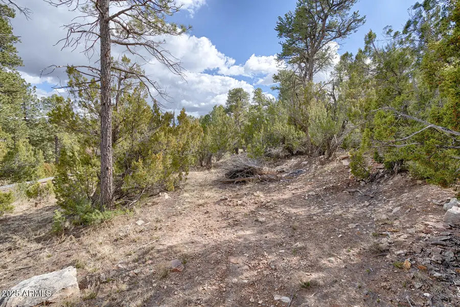 3358 N Stone Bridge Trail #4, Heber Overgaard, AZ 85928 - Image #3