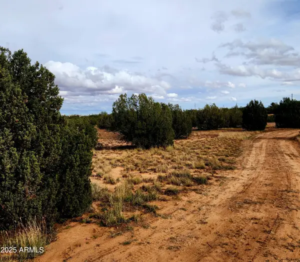 3933 Hidden Ranch Road #56, Snowflake, AZ 85937