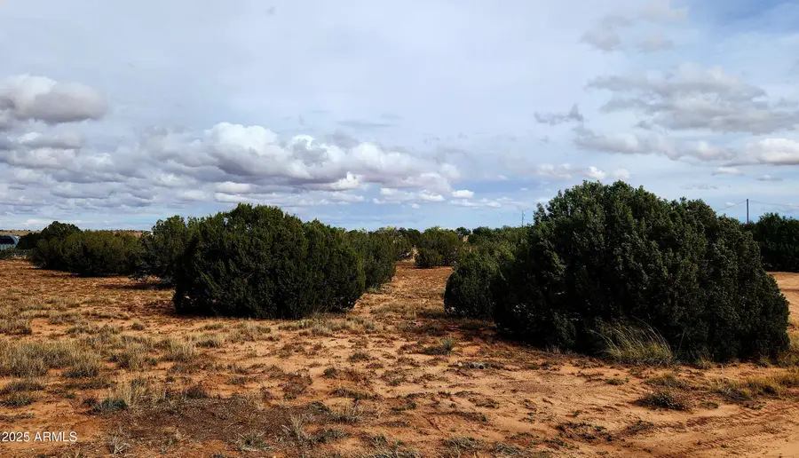 3933 Hidden Ranch Road #56, Snowflake, AZ 85937 - Image #2