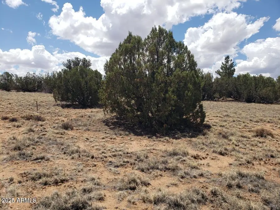 3933 Hidden Ranch Road #56, Snowflake, AZ 85937 - Image #3