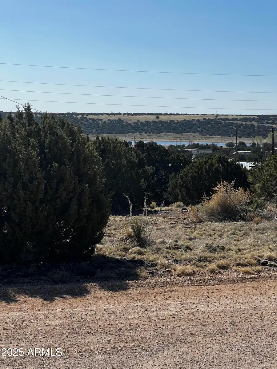 60 Short Lane #1, Concho, AZ 85924 - Image #3
