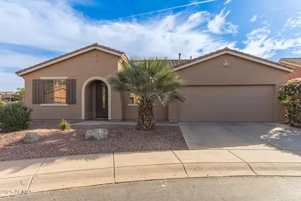 42551 W Falling Star Court, Maricopa, AZ 85138