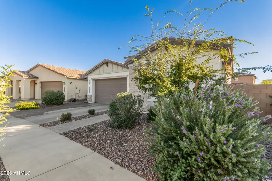 21427 E Macaw Drive, Queen Creek, AZ 85142 - Image #3