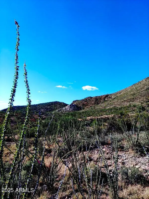 16231 E Hillton Ranch Road, Vail, AZ 85641 - Image #2