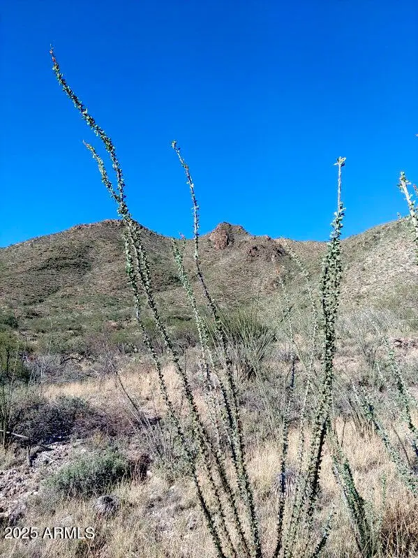 16231 E Hillton Ranch Road, Vail, AZ 85641 - Image #3