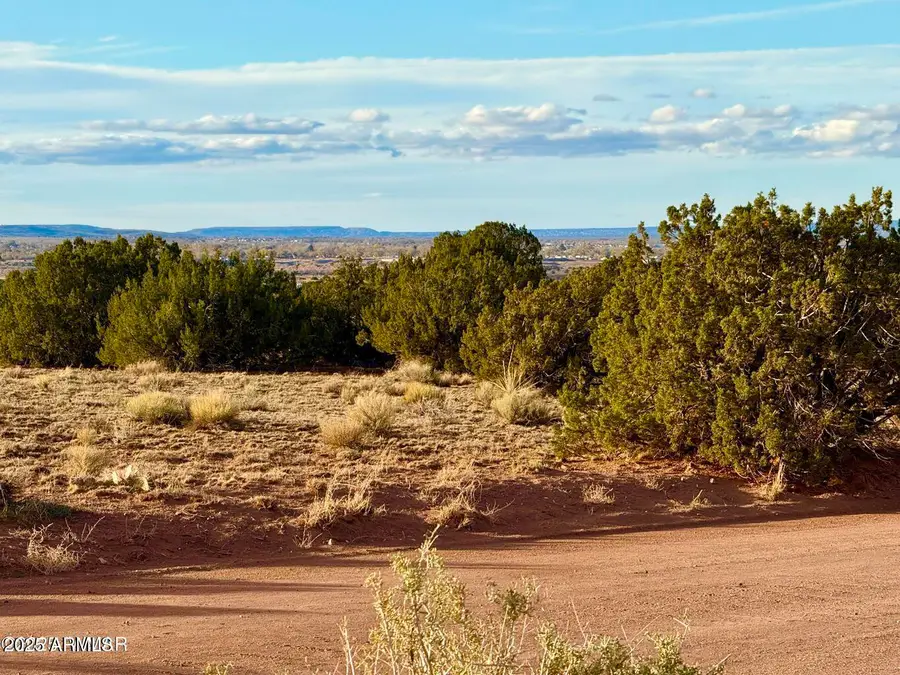 480 County Road N6400 --, Saint Johns, AZ 85936 - Image #2