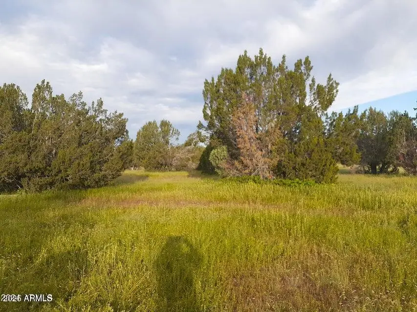 32018 W Calle Ines Parkway, Seligman, AZ 86337 - Image #2