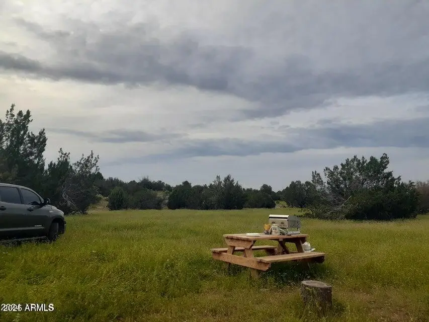 32018 W Calle Ines Parkway, Seligman, AZ 86337 - Image #3