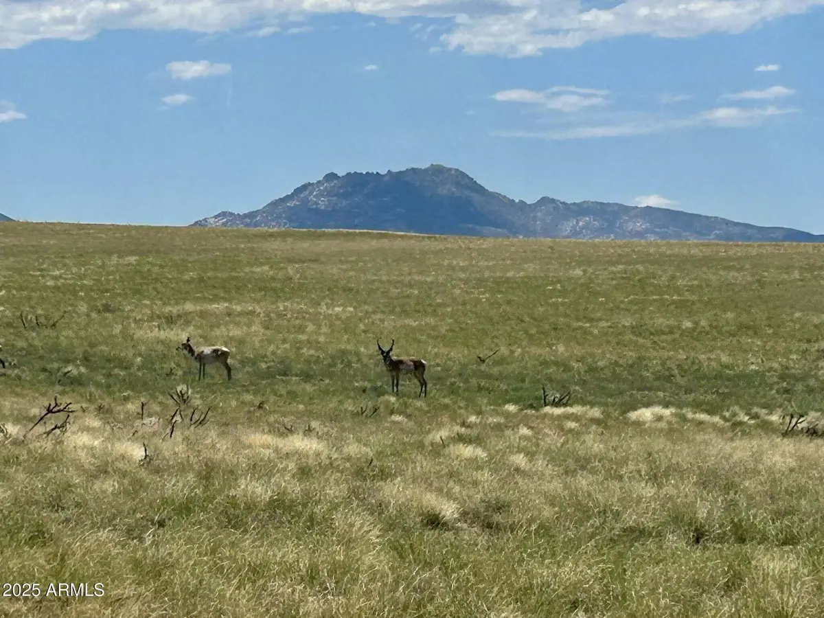 TBA E Lot 40-a1 Off Of E Norma -- #40-A1, Mingus Mountain, AZ 86315 - Image #1