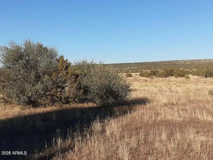 602 Denny 5 Road, Seligman, AZ 86337 - Image #1