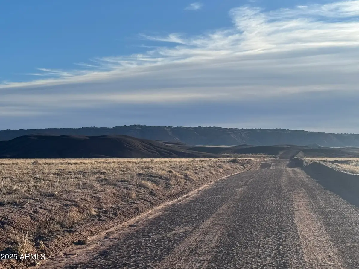 Lot #35 Bonito Valley Ranch -- #35, Saint Johns, AZ 85936 - Image #1