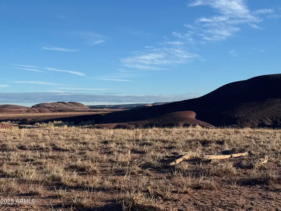Lot #35 Bonito Valley Ranch -- #35, Saint Johns, AZ 85936 - Image #2
