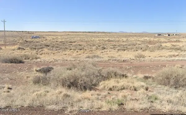 29 County Rd 6025 -- #106, St Johns, AZ 85936