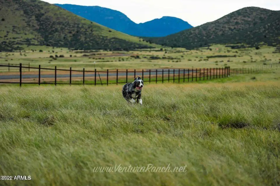 10221 E Ventura Lot 71 Way #71, Mingus Mountain, AZ 86315 - Image #1