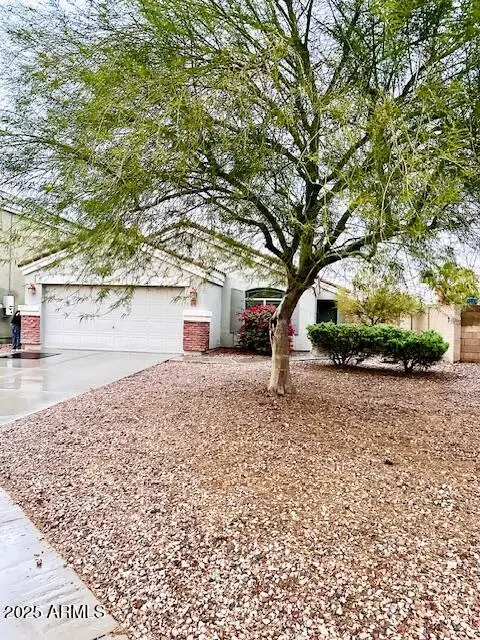 23792 W Pecan Court, Buckeye, AZ 85326 - Image #1