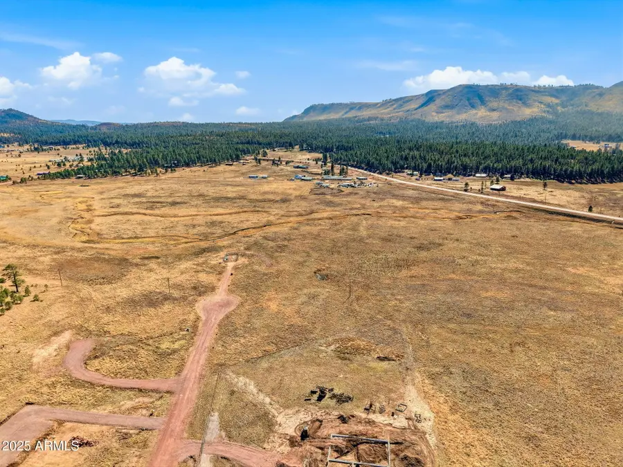 Lot 25 The Ranch At Alpine -- #25, Eagar Springerville, AZ 85920 - Image #3