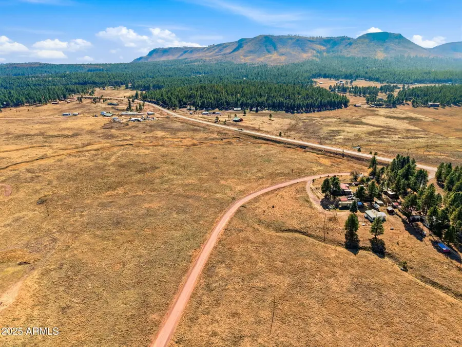 Lot 35 The Ranch At Alpine -- #35, Eagar Springerville, AZ 85920 - Image #3