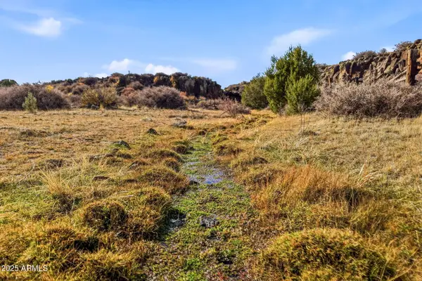 000 Tbd --, Greer, AZ 85927