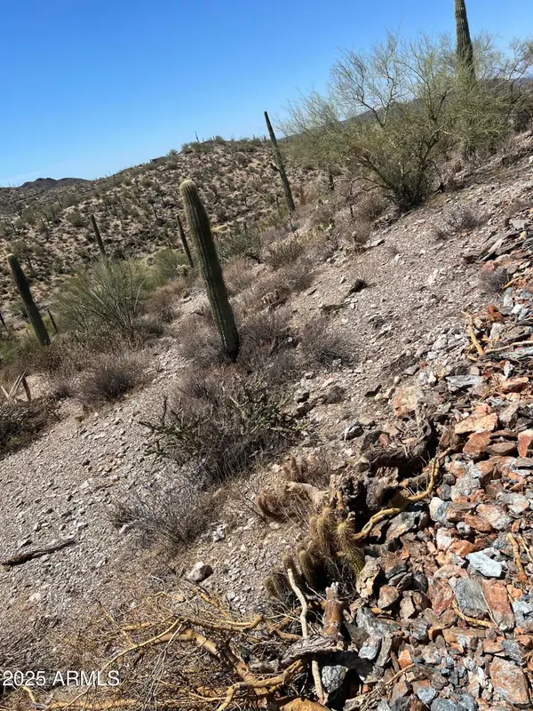 11XX N Hardt Tank S Lot 2 Road #2, Queen Valley, AZ 85118