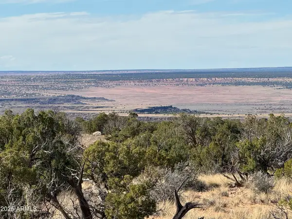 Lot 62 Sierra Highlands Ranch -- #62, St Johns, AZ 85936