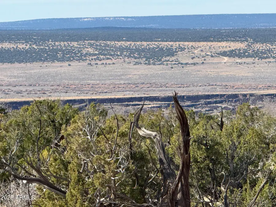 Lot 62 Sierra Highlands Ranch -- #62, Saint Johns, AZ 85936 - Image #3