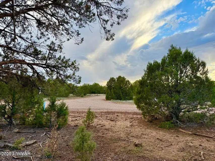 1821 Shumway Street, White Mountain Lake, AZ 85901 - Image #1