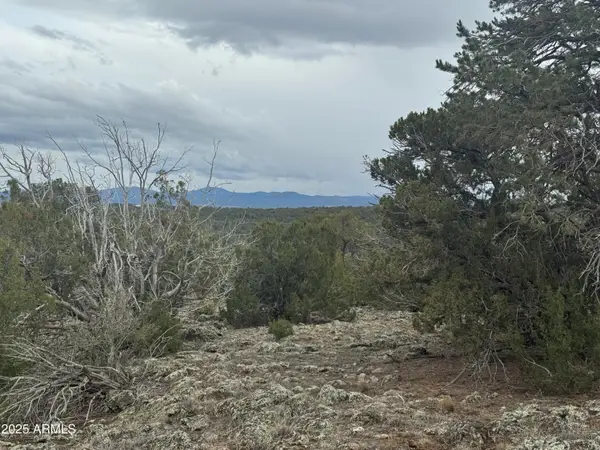 24 Acr 8051 -- #2355, Concho, AZ 85924