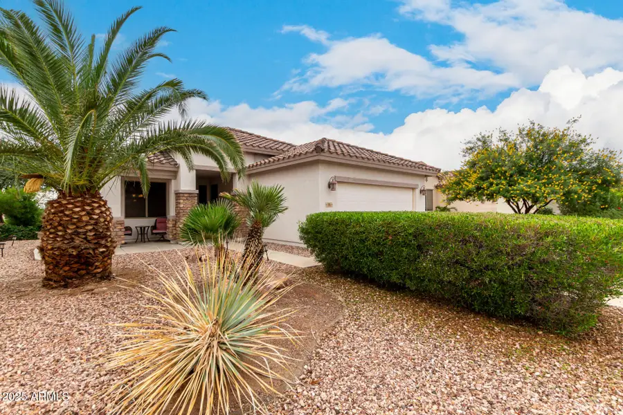 696 S 226th Drive, Buckeye, AZ 85326 - Image #3