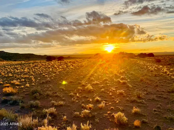 TBD Co Rd N6422 36.22 Acres --, St Johns, AZ 85936