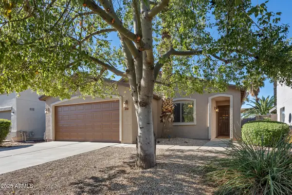 30506 N Appalachian Trail, San Tan Valley, AZ 85143