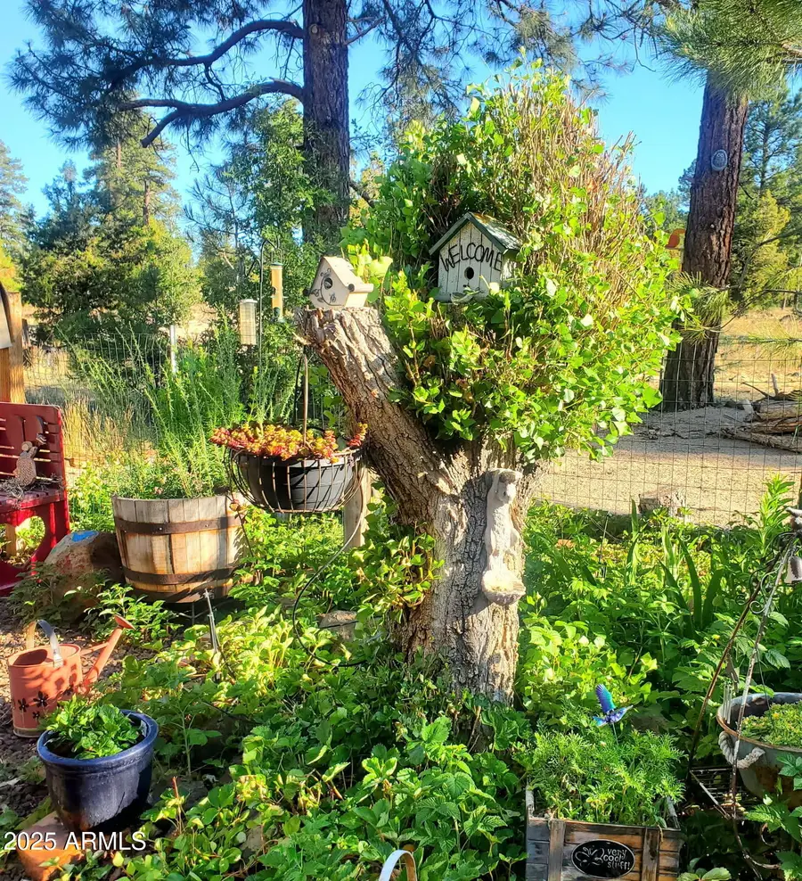 1151 E Caribou Road, Munds Park, AZ 86017 - Image #2