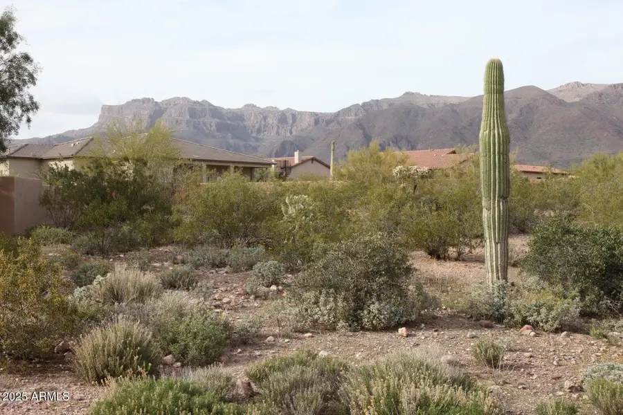 10584 E Walking Stick Way #4, Gold Canyon, AZ 85118 - Image #2
