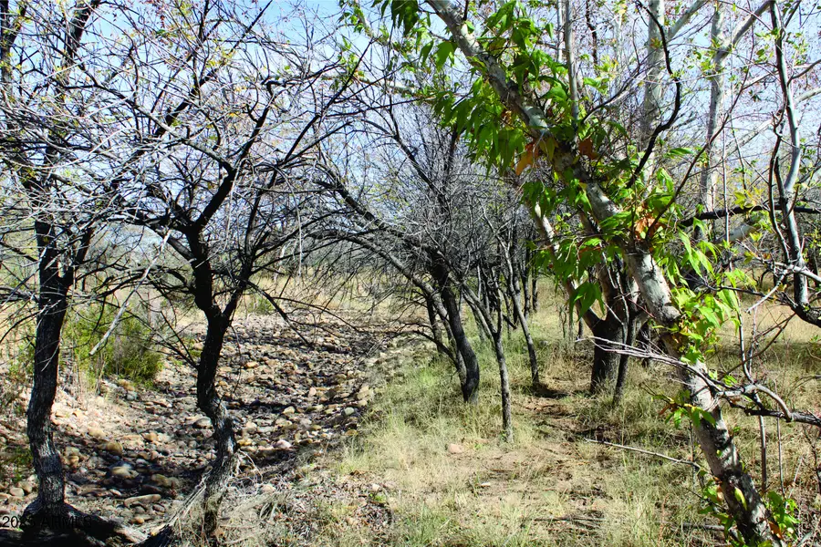 10 Acres E Roadrunner Lot D Lane #D, Pearce, AZ 85625 - Image #2