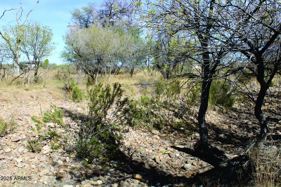 10 Acres E Roadrunner Lot D Lane #D, Pearce, AZ 85625 - Image #3