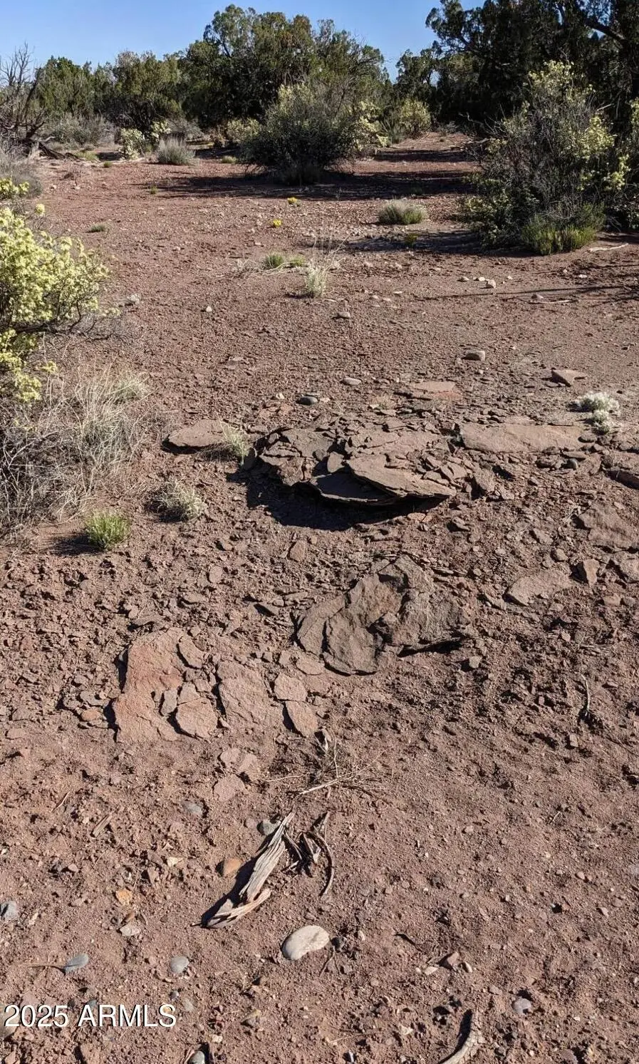 4266 Bunkhouse Road #6, Snowflake, AZ 85937 - Image #3