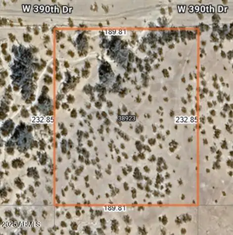 38923 W Flower Street #1208, Tonopah, AZ 85354