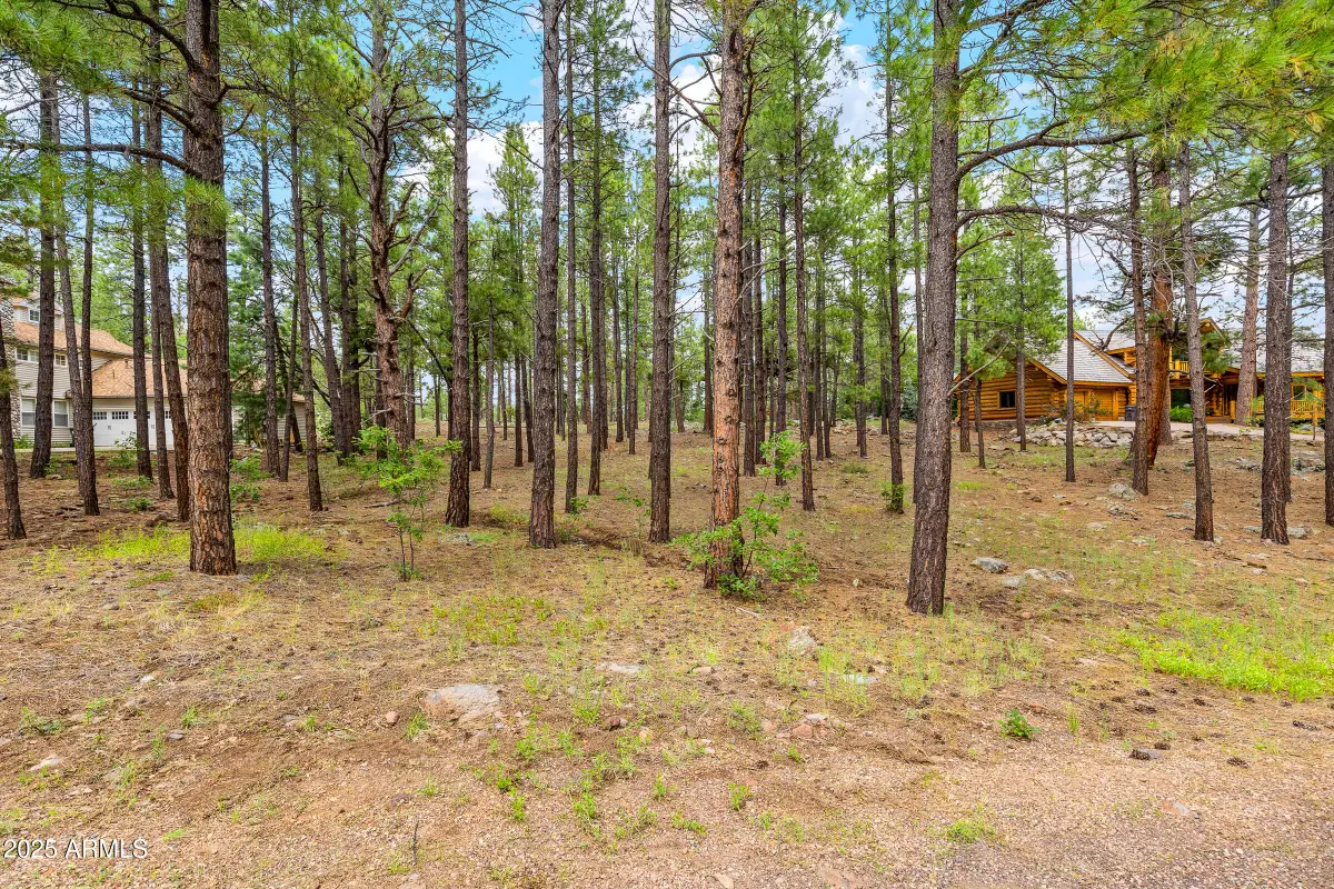 3781 Griffiths Spring #451, Flagstaff, AZ 86005 - Image #1