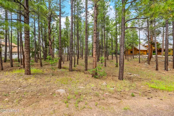 3781 Griffiths Spring #451, Flagstaff, AZ 86005