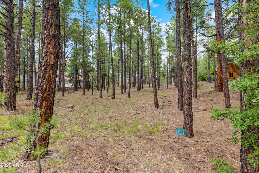 3781 Griffiths Spring #451, Flagstaff, AZ 86005 - Image #2