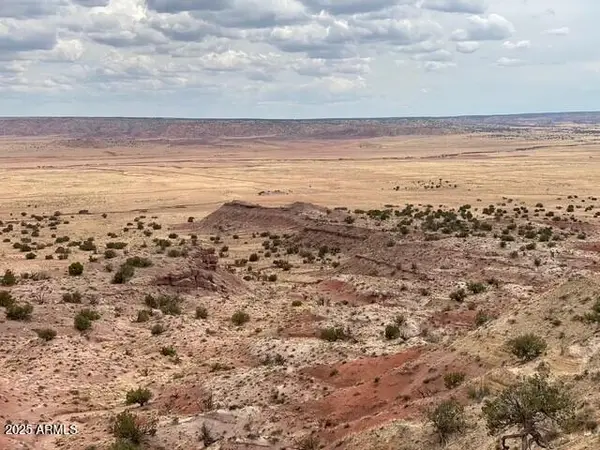 6286 N 6286 -- #204-60-301, St Johns, AZ 85936