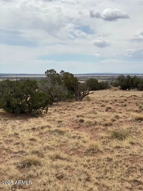 6286 N 6286 -- #204-60-301, Saint Johns, AZ 85936 - Image #2