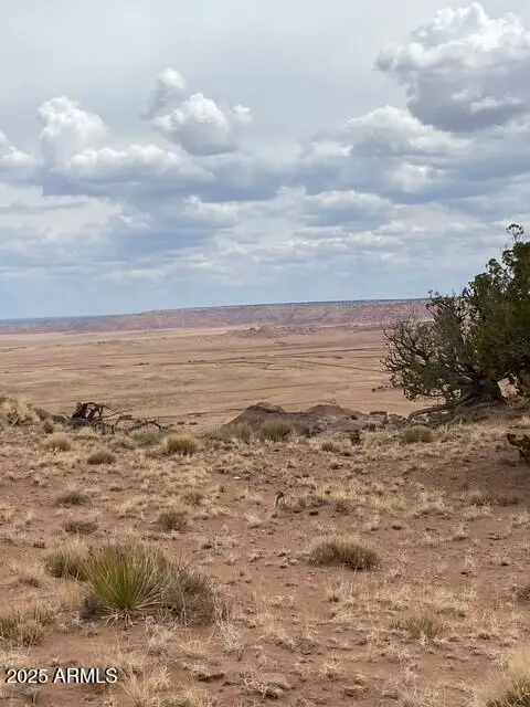 6286 N 6286 -- #204-60-301, Saint Johns, AZ 85936 - Image #3