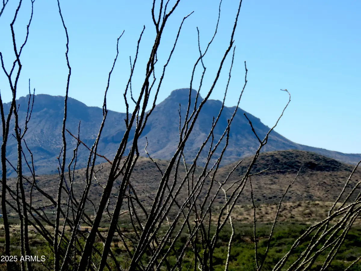 TBD E Walnut Springs Road #47, Douglas, AZ 85607 - Image #1
