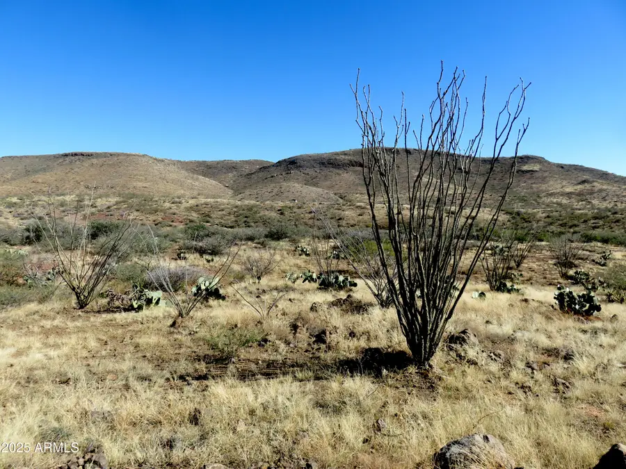 TBD E Walnut Springs Road #47, Douglas, AZ 85607 - Image #3