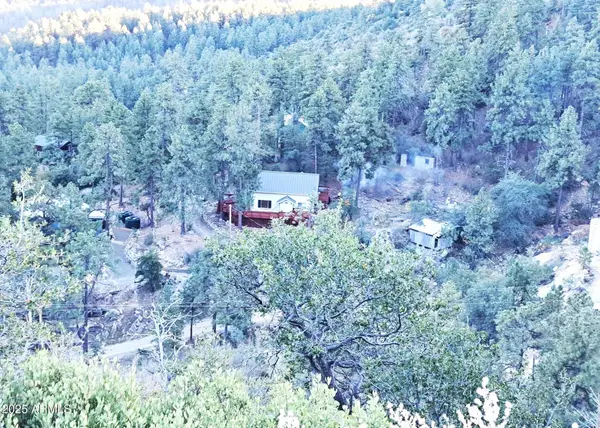23186 S Towers Mountain Road, Crown King, AZ 86343