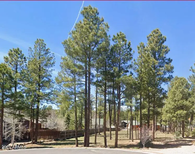446 Osprey Court #29, Pinetop Lakeside, AZ 85935 - Image #1
