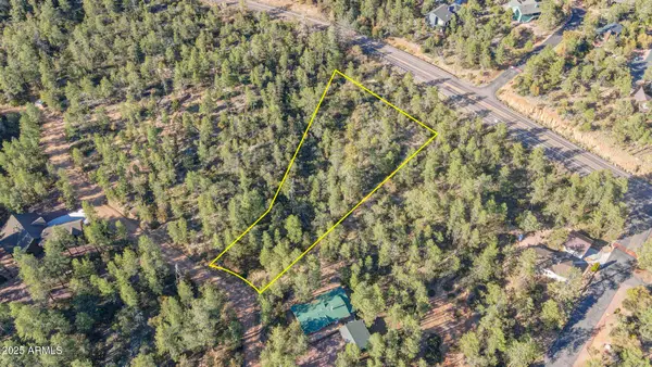 Lot 4 N Pine Hollow Trail #4, Pine, AZ 85544