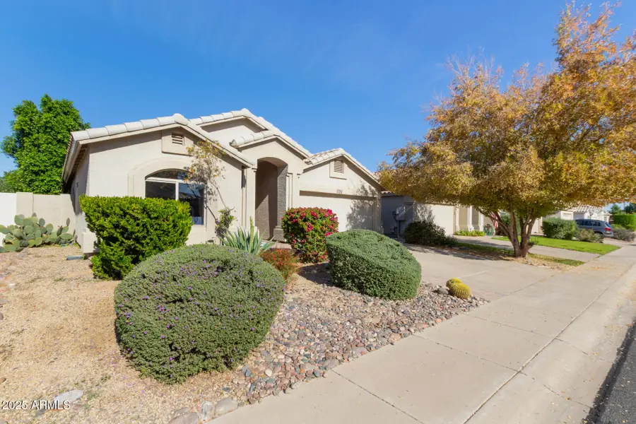 996 E Princeton Avenue, Gilbert, AZ 85234 - Image #3